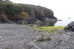 DSCN1839