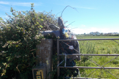 DSCN1385