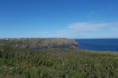 DSCN1434