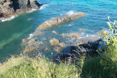 DSCN1463
