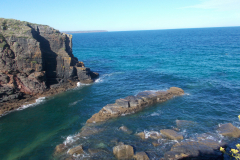 DSCN1464
