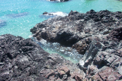 DSCN1343