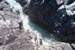 DSCN1344
