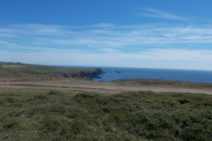 DSCN1351