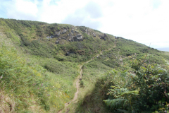 DSCN1058