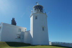 Lizard-Lighthouse-Altenative-Mix