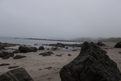 Mist