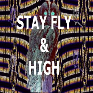 Stay Fly & High Screensaver