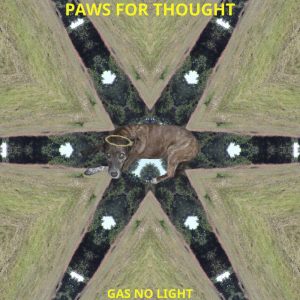 Paws For Thought